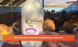 Meriç Süt Kimin? Meriç Süt Hangi Ülkenin? Boykot mu?