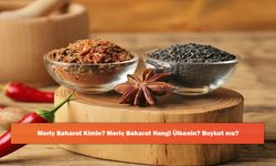 Meriç Baharat Kimin? Meriç Baharat Hangi Ülkenin? Boykot mu?