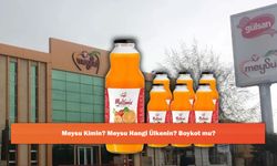 Meysu Kimin? Meysu Hangi Ülkenin? Boykot mu?