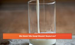 Mis Kimin? Mis Hangi Ülkenin? Boykot mu?