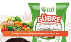 Nif Organik Kimin? Nif Organik Hangi Ülkenin? Boykot mu?