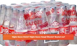 Niğde Gazoz Kimin? Niğde Gazoz Hangi Ülkenin? Boykot mu?