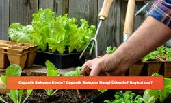 Organik Bahçem Kimin? Organik Bahçem Hangi Ülkenin? Boykot mu?