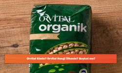 Orvital Kimin? Orvital Hangi Ülkenin? Boykot mu?
