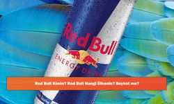 Red Bull Kimin? Red Bull Hangi Ülkenin? Boykot mu?