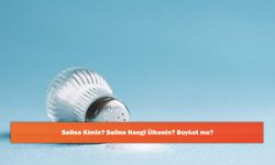 Salina Kimin? Salina Hangi Ülkenin? Boykot mu?