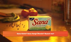 Sana Kimin? Sana Hangi Ülkenin? Boykot mu?