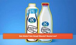 Sek Kimin? Sek Hangi Ülkenin? Boykot mu?