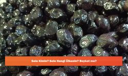 Sele Kimin? Sele Hangi Ülkenin? Boykot mu?
