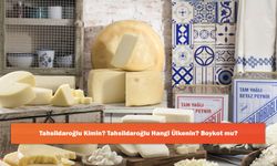 Tahsildaroğlu Kimin? Tahsildaroğlu Hangi Ülkenin? Boykot mu?