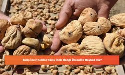 Tariş İncir Kimin? Tariş İncir Hangi Ülkenin? Boykot mu?