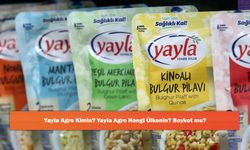 Yayla Agro Kimin? Yayla Agro Hangi Ülkenin? Boykot mu?