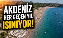 Türkiye'nin denizlerinde uyarı: Akdeniz her geçen yıl ısınıyor!