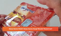 Aknaz Gurme Kimin? Aknaz Gurme Hangi Ülkenin? Boykot mu?