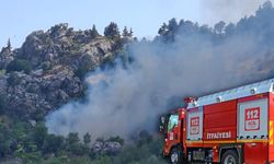 Alanya'da zirai alanda çıkan yangın büyümeden söndürüldü!