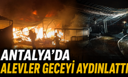 Antalya'da gece yarısı korkutan yangın! Mahalleyi alevler sardı