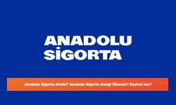 Anadolu Sigorta Kimin? Anadolu Sigorta Hangi Ülkenin? Boykot mu?