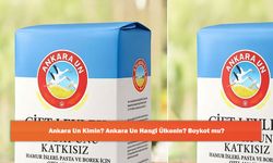 Ankara Un Kimin? Ankara Un Hangi Ülkenin? Boykot mu?