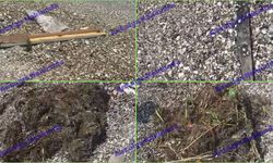 Konyaaltı Sahili'nde çöp isyanı! "Denize mi geldik, çöplüğe mi geldik belli değil"