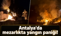 Antalya'da mezarlıkta yangın paniği!