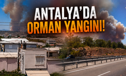 Antalya'da korkutan orman yangını! O anlar kamerada