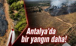 Antalya'da bir yangın daha! Havadan müdahale anı kamerada