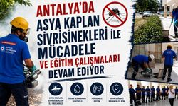 Antalya'da Asya kaplan sivrisineklerine mücadele ve eğitim çalışmaları devam ediyor