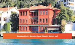 Bayegan Kimin? Bayegan Hangi Ülkenin? Boykot mu?
