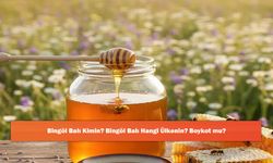 Bingöl Balı Kimin? Bingöl Balı Hangi Ülkenin? Boykot mu?