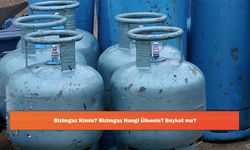 Bizimgaz Kimin? Bizimgaz Hangi Ülkenin? Boykot mu?