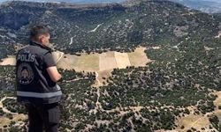 Burdur'da ormanlar dronla denetleniyor!