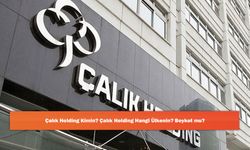 Çalık Holding Kimin? Çalık Holding Hangi Ülkenin? Boykot mu?