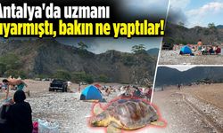 Antalya'da uzmanı uyarmıştı, bakın ne yaptılar!
