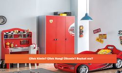 Çilek Kimin? Çilek Hangi Ülkenin? Boykot mu?