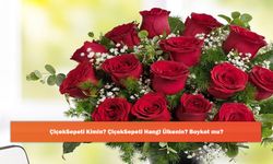 ÇiçekSepeti Kimin? ÇiçekSepeti Hangi Ülkenin? Boykot mu?