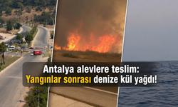 Antalya alevlere teslim: Yangınlar nedeniyle denize kül yağdı!