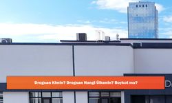 Drogsan Kimin? Drogsan Hangi Ülkenin? Boykot mu?