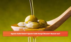Egenin Kalbi Kimin? Egenin Kalbi Hangi Ülkenin? Boykot mu?