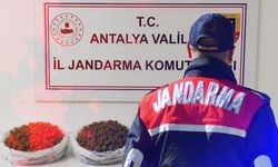 Antalya'da şok uyuşturucu operasyonu: Kubar esrar ele geçirildi!