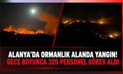 Alanya'da ormanlık alanda yangın! Gece boyunca 320 personel görev aldı