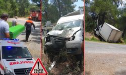 Antalya'da kamyonet ağaca çarptı: Sürücü hayatını kaybetti, 1 kişi ağır yaralandı