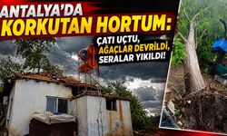 Antalya'da korkutan hortum: Çatı uçtu, ağaçlar devrildi, seralar yıkıldı!