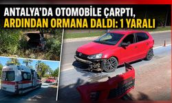 Antalya'da kontrolden çıkan otomobil ormana daldı: 1 yaralı