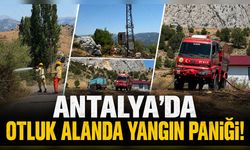 Antalya'da otluk alanda yangın paniği: Alevler büyümeden söndürüldü