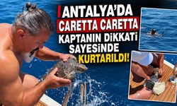 Antalya'da nefes kesen kurtarma: Çuvala dolanan caretta caretta böyle kurtarıldı