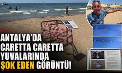 Antalya'da şok eden görüntü: Caretta caretta yuvasını koruyan kafesi yerinden söktüler!
