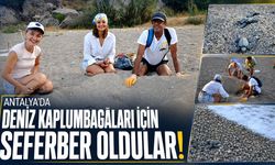 Antalya'da deniz kaplumbağalarının gönüllü koruyucusu oldular!