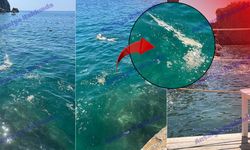 Antalya'da skandal görüntü: Denize bırakılan atıklar tepki çekti!