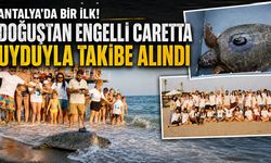 Antalya'da bir ilk! Doğuştan engelli carettaya uydu izleme cihazı takıldı