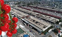 Antalya'da haziran ayı hal endeksi açıklandı: Domates ve meyvede işlem miktarı arttı